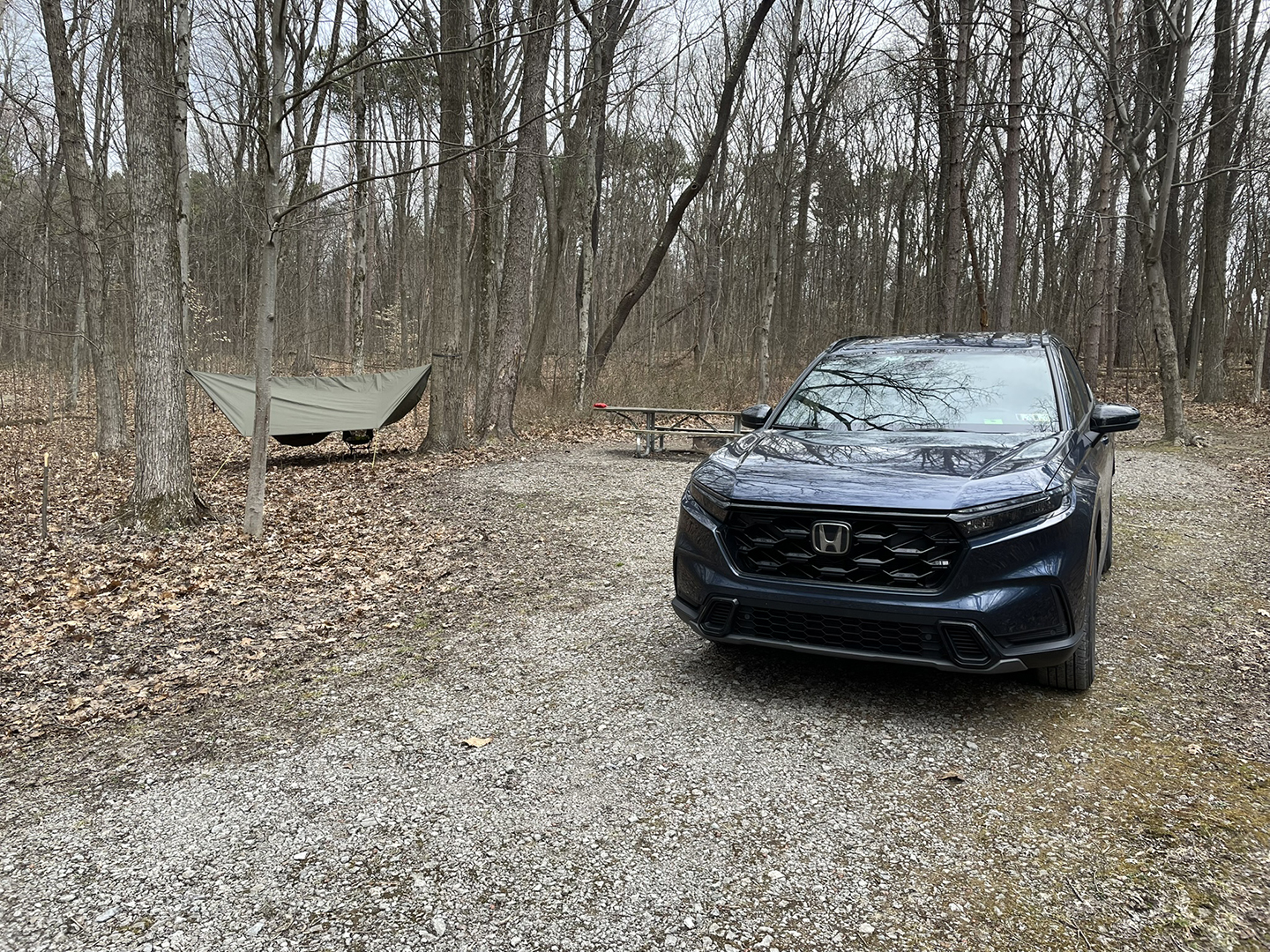March Hammock Camp and Hike in Raccoon Creek State Park PA