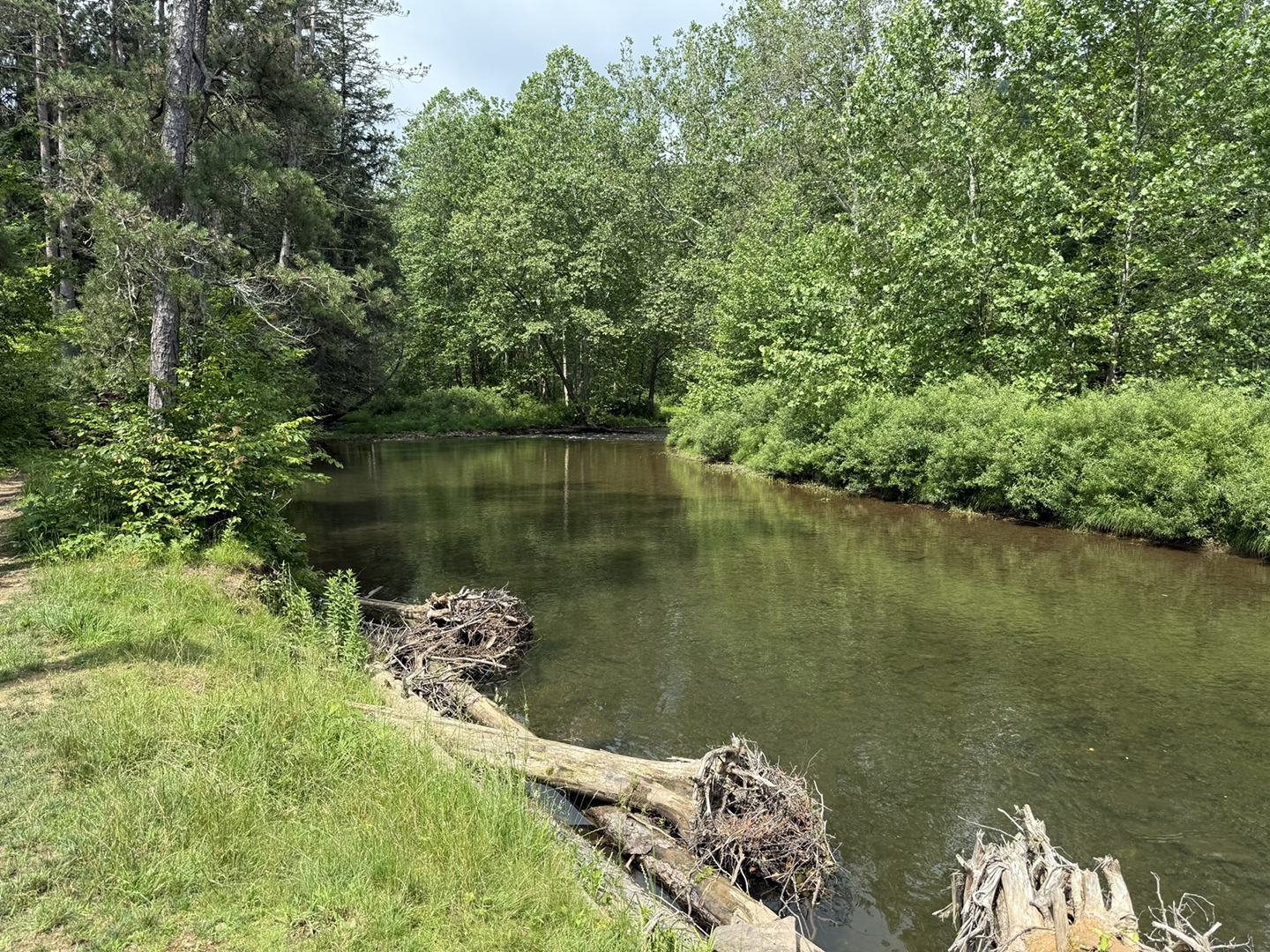 June hike at Ole Bull State Park, PA