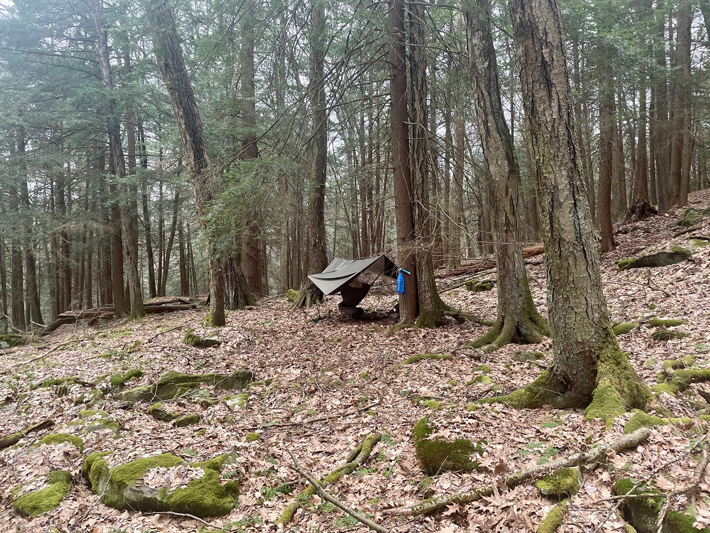 April Backpacking on the Pine Run Loop trail