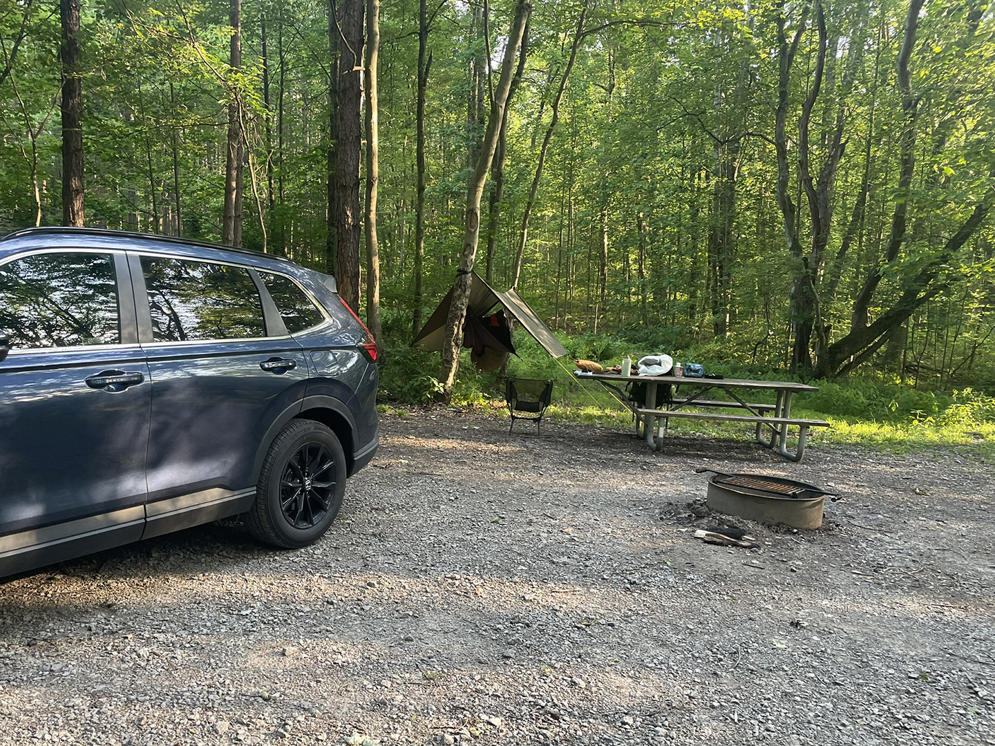 Quick June Camp and Hike in Raccoon Creek State Park, PA