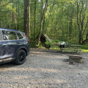Hammock, picnic table, and car at a campsite
