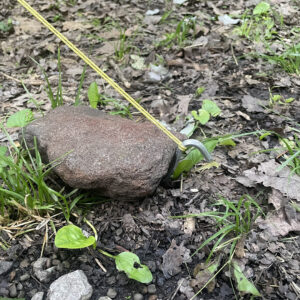 a rock helping secure a tent stake in the ground