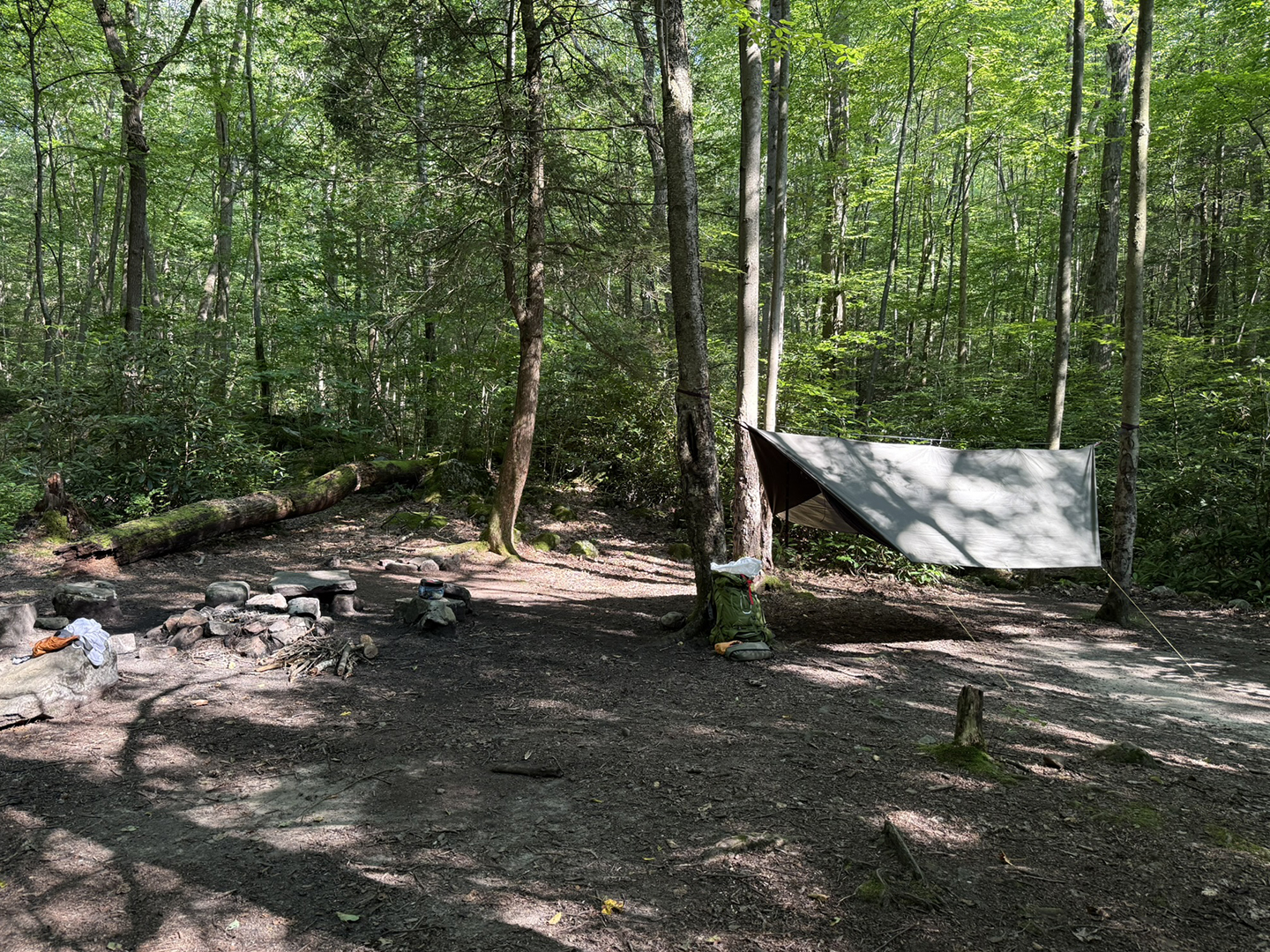 July Backpacking in Bear Run Nature Reserve