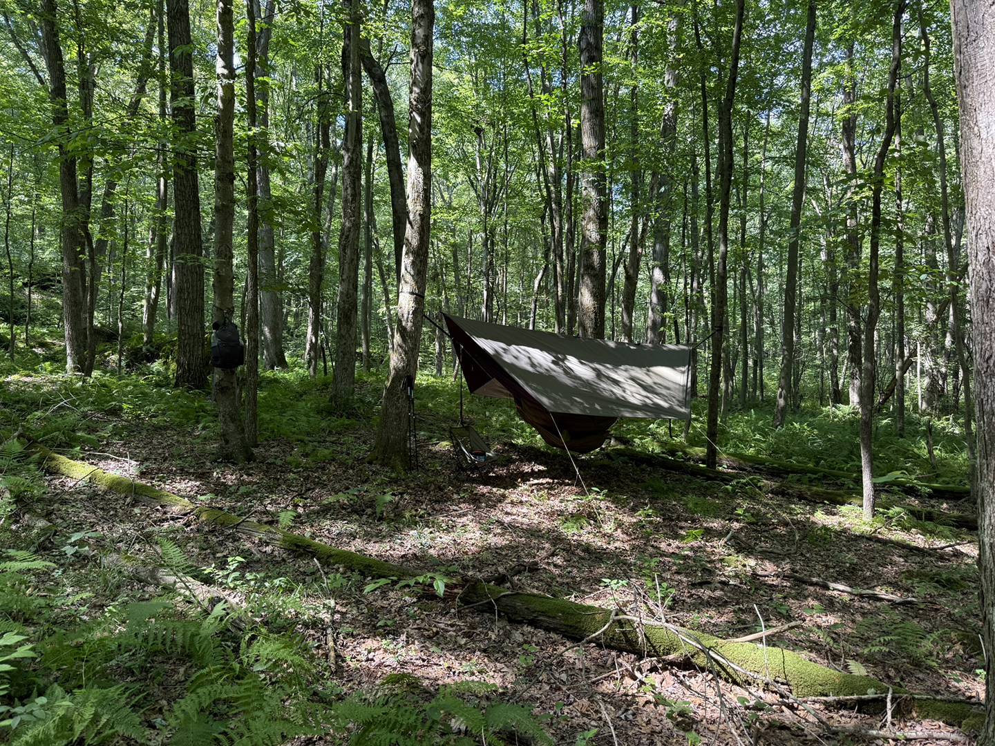 July Backpacking in Clear Creek State Forest: Kennerdell Tract