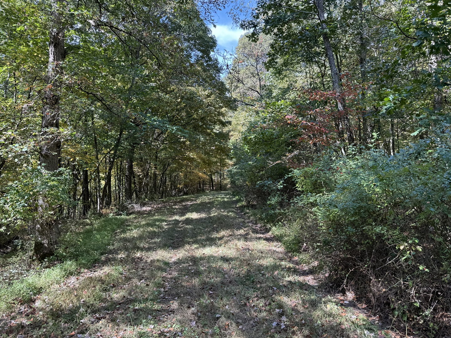 September Hike in PA State Game Lands 203
