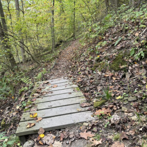 Small wooden bridge on a hiking path in the woods