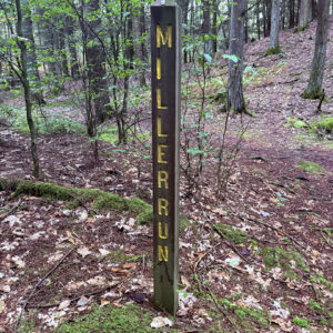 Vertical sign saying “Miller Run” in the woods