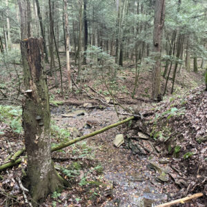 Small stream flowing into another stream in the woods