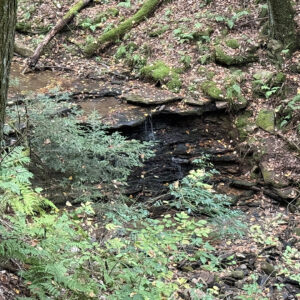 View looking down at small waterfall in woods