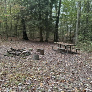 Clearing in woods with fire pit and picnic table